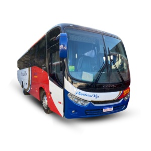 pontual vip bus (1)